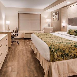 King Room Disability Access