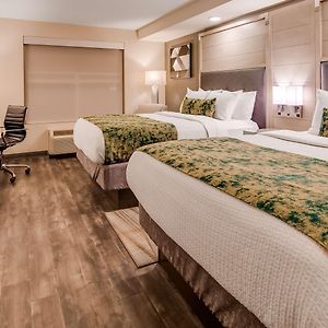 Queen Room Mobility accessible